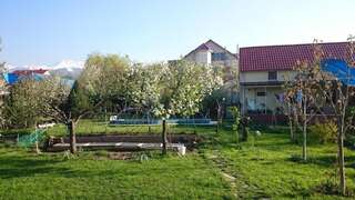 Отели типа «постель и завтрак» Garden house Алматы Бюджетный двухместный номер с 1 кроватью-13